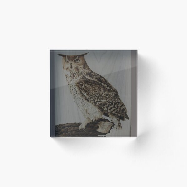 Eurasian Eagle Owl pyrography artwork Acrylic Block