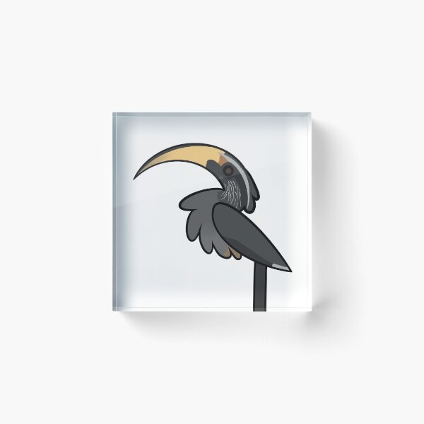 Item preview, Female Malabar Grey Hornbill designed and sold by GhostoftheSea.