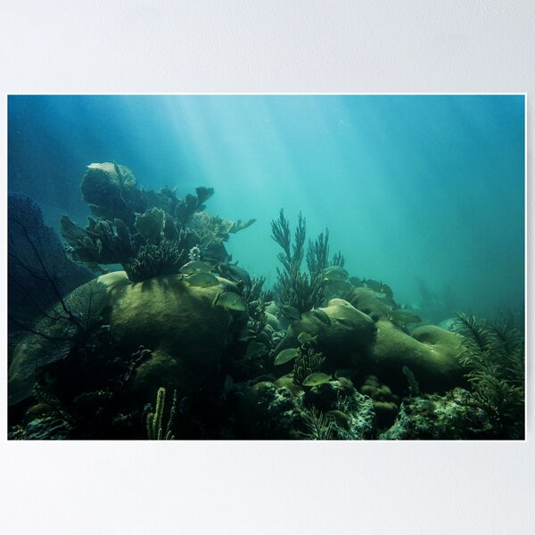 Underwater Wonderland Poster