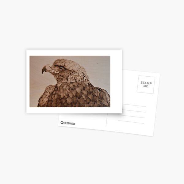 Golden Eagle Pyrography Art Postcard
