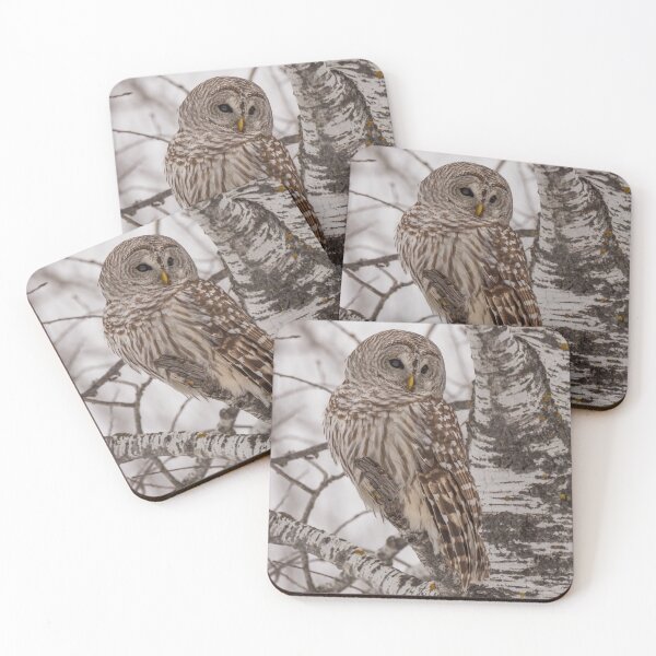 Item preview, Barred Owl 1 designed and sold by Yvette  Schneider.