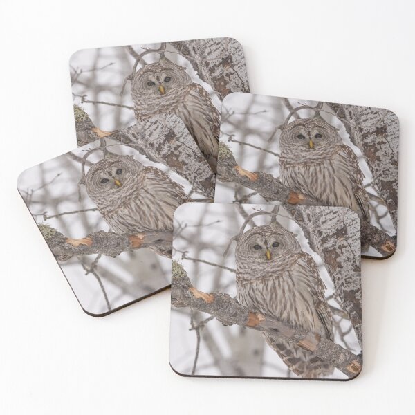 Item preview, Barred Owl 2 designed and sold by Yvette  Schneider.