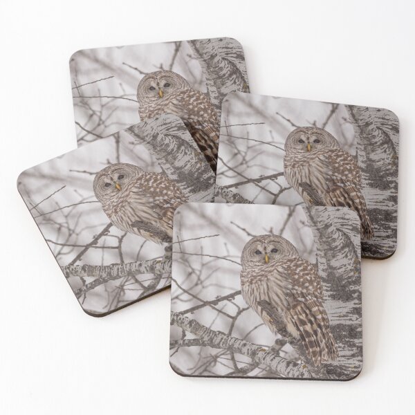 Item preview, Barred Owl 3 designed and sold by Yvette  Schneider.