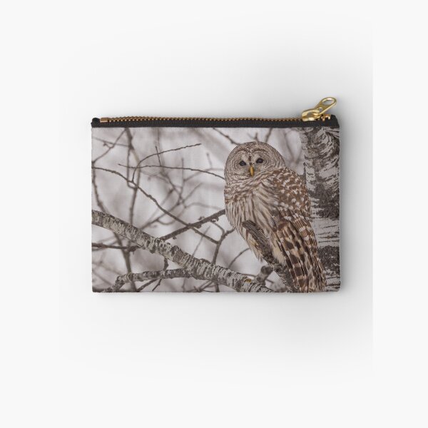 Item preview, Barred Owl 3 designed and sold by Yvette  Schneider.
