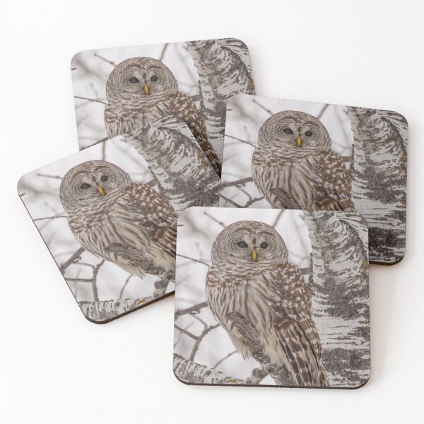 Item preview, Barred Owl 4 designed and sold by Yvette  Schneider.