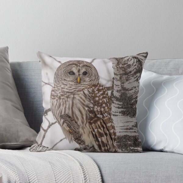 Item preview, Barred Owl 4 designed and sold by Yvette  Schneider.