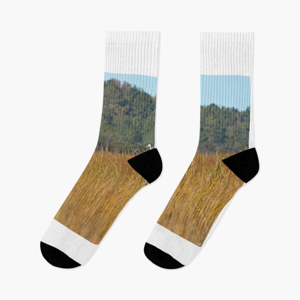 Item preview, Standing Tall In The Reeds designed and sold by LisaWootenPhoto.