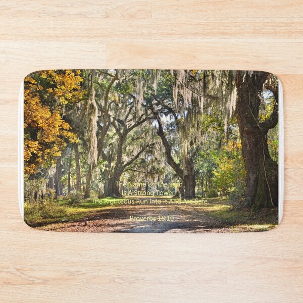 Item preview, Proverbs 18:10 The Entrance To Old House Plantation Beaufort South Carolina designed and sold by LisaWootenPhoto.