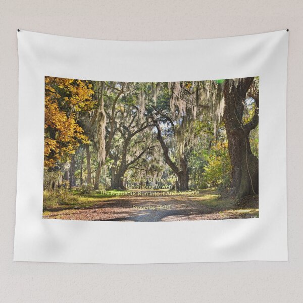 Item preview, Proverbs 18:10 The Entrance To Old House Plantation Beaufort South Carolina designed and sold by LisaWootenPhoto.