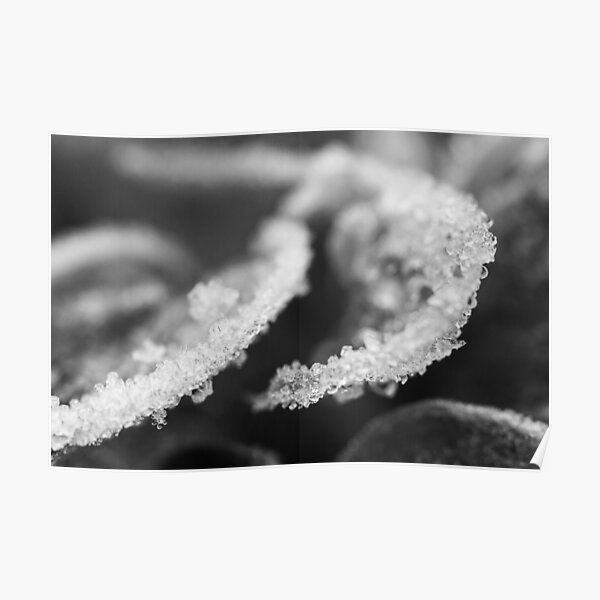 Frosty Poster