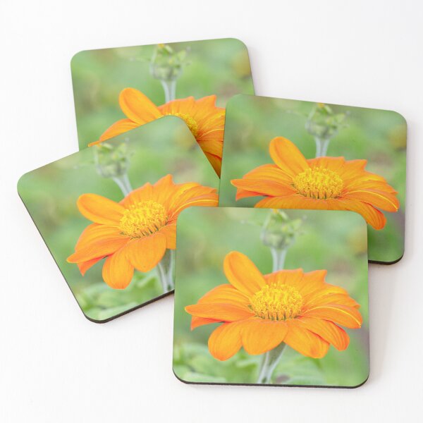 Item preview, Mexican Sunflower designed and sold by Tanya C  Smith.