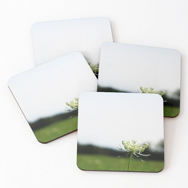 Item preview, Hogweed Flower Photography  designed and sold by JenniferStar.