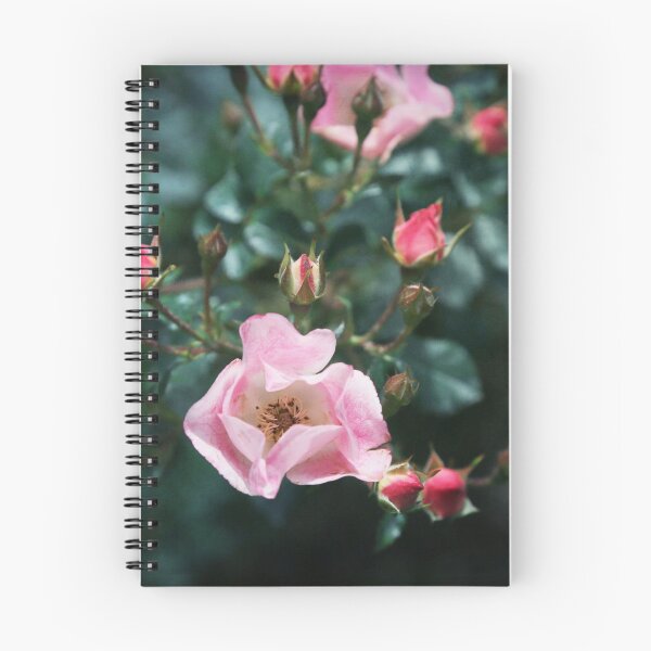 Item preview, Pink Roses on Dark Teal Blue Green designed and sold by Brooke T Ryan Photographic Art.