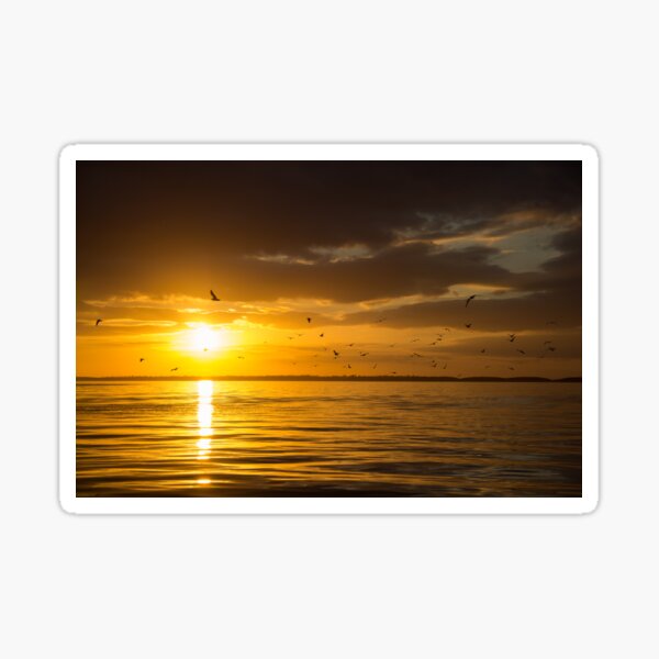 Sunset in South Florida Sticker