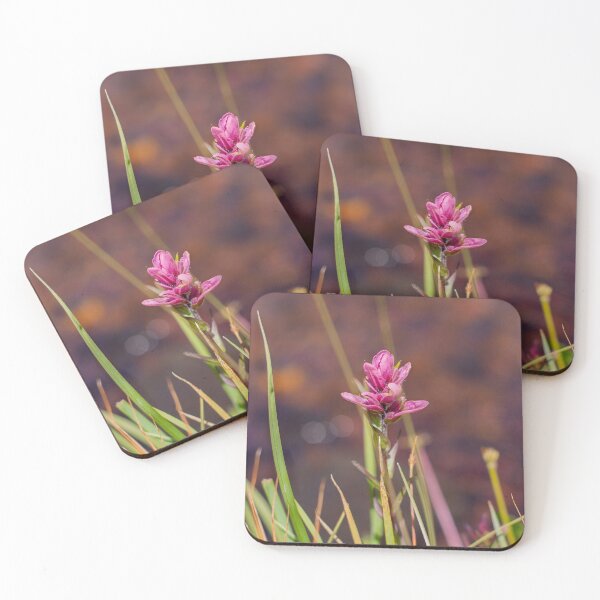 Item preview, Bloom in Pink designed and sold by my peaks media studio.