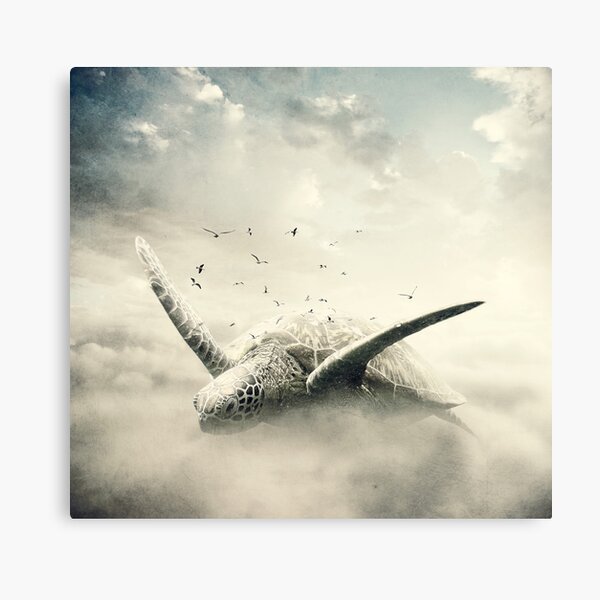 Dreams Canvas Print