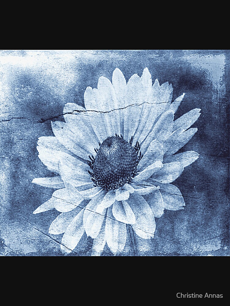 If Daisies Wore Blue Jeans by 2Bricks