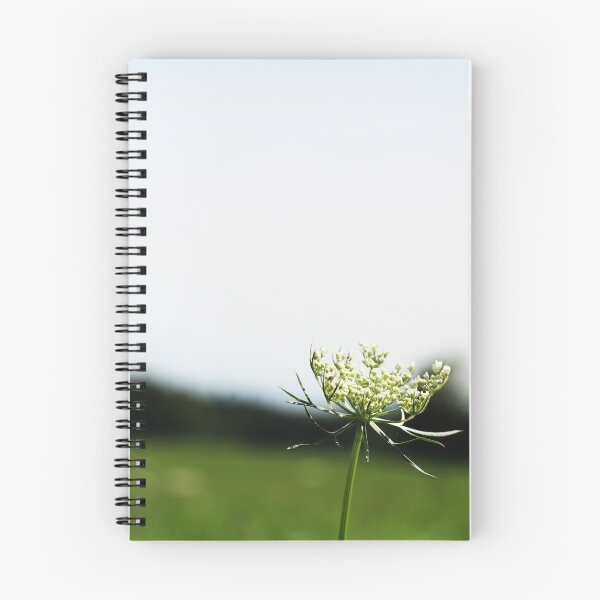 Item preview, Hogweed Flower Photography  designed and sold by JenniferStar.
