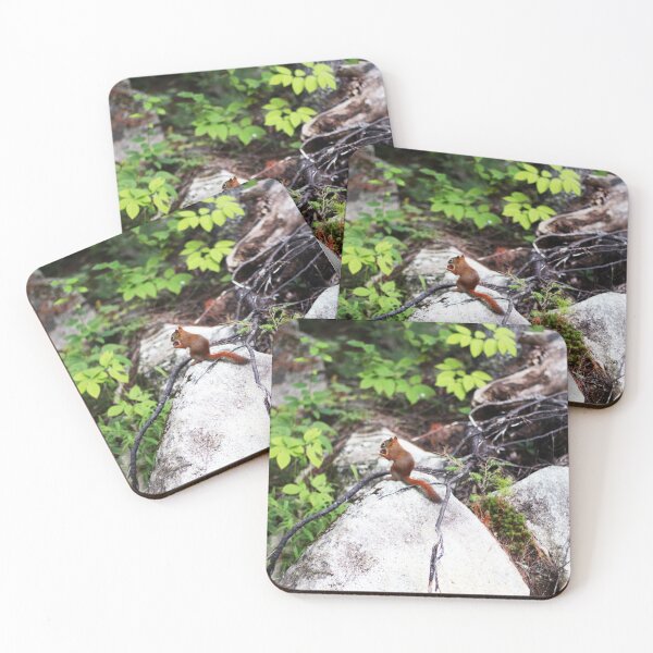 Item preview, Red Squirrel Jackson New Hampshire  designed and sold by JenniferStar.