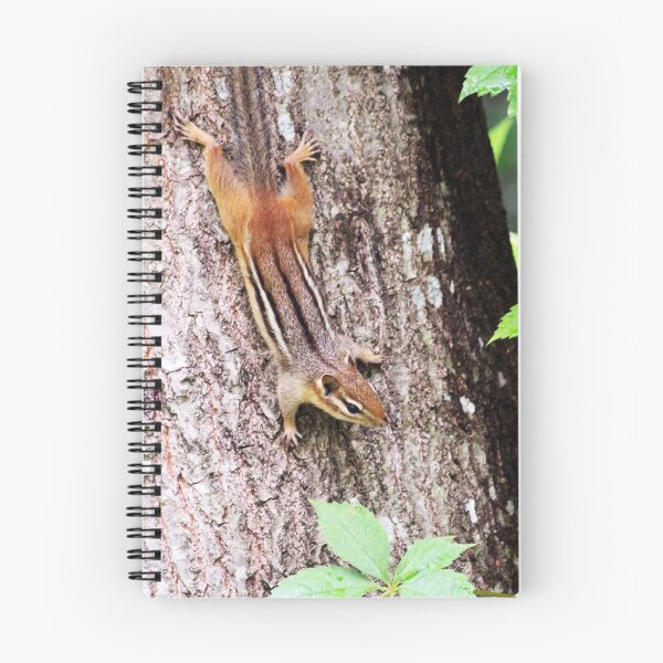 Item preview, Chipmunk on Tree designed and sold by JenniferStar.
