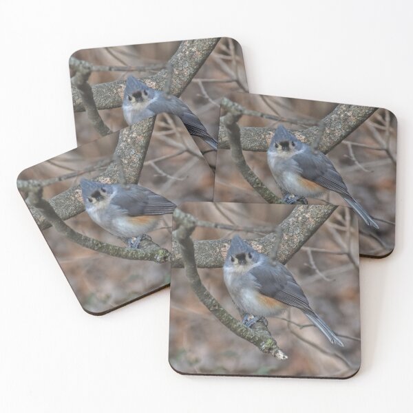 Item preview, Well Hello Little Titmouse  designed and sold by Lanis Rossi.