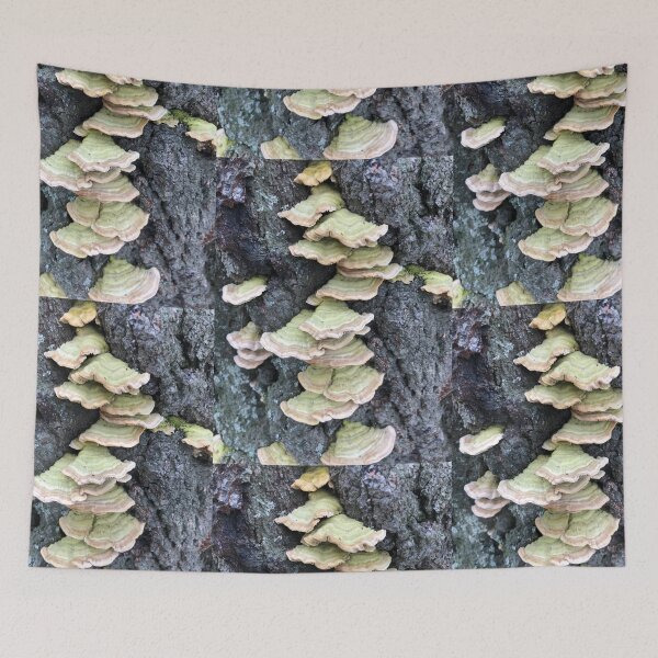 Item preview, Bracket Fungi on a Tree Stump designed and sold by Billlee.