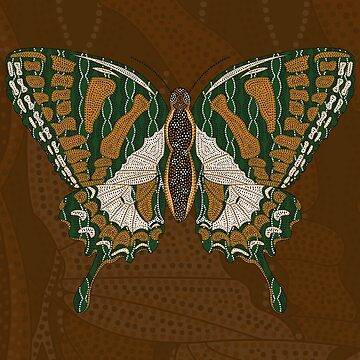 Artwork thumbnail, Aboriginal Swallowtail by Valerie Bennett