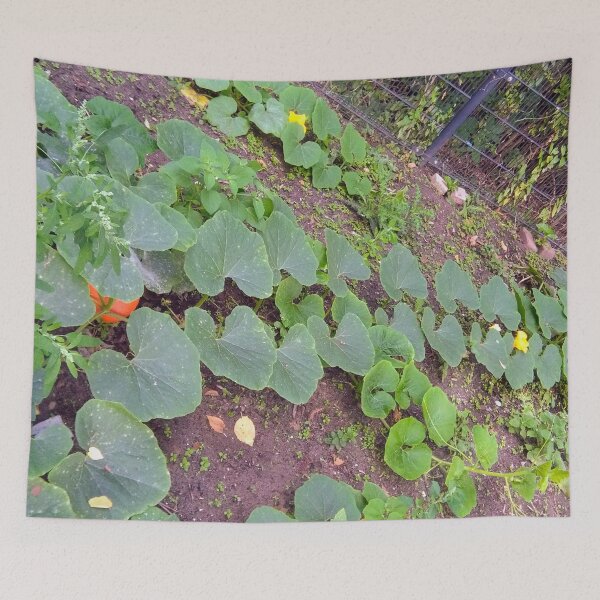 Item preview, Pumpkin Foliage, Blossom & Fruit designed and sold by hajarsdeco.