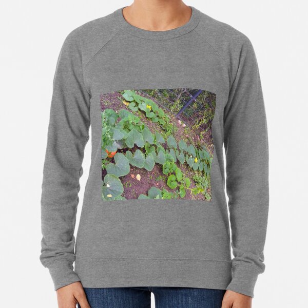 Pumpkin Foliage, Blossom & Fruit Lightweight Sweatshirt