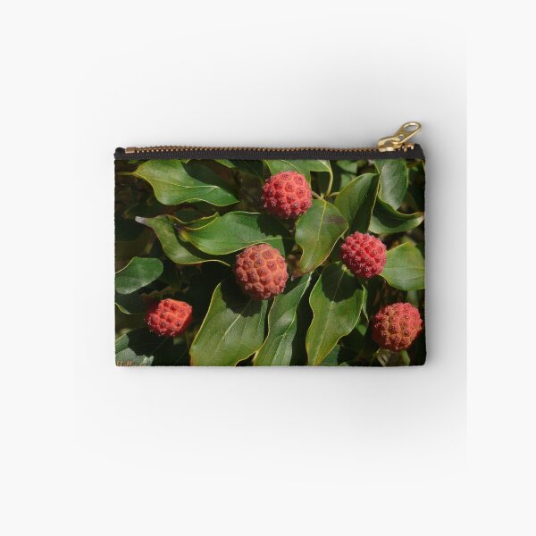 Item preview, A Dogwood Xmas designed and sold by webster7.