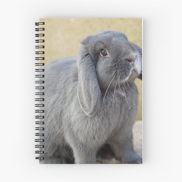 Item preview, Black Rabbit designed and sold by ejrphotography.