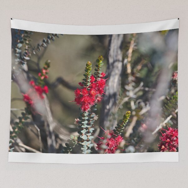 Item preview, A Pretty Red Native Wildflower Native To The Western Australian Outback designed and sold by Jason Gilbert.