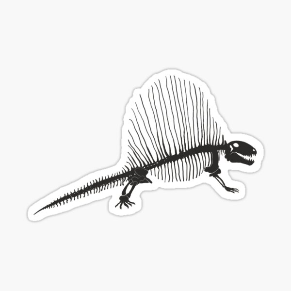 Item preview, Dimetrodon Skeleton designed and sold by Charlotte Hohman.