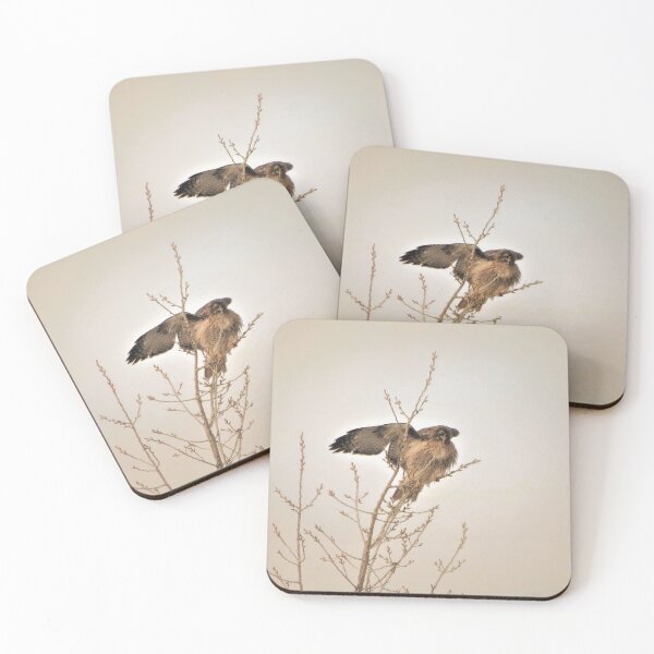 Item preview, I have a new neighbor. designed and sold by Diane Arndt.