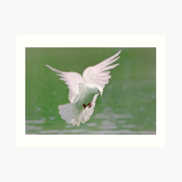 Peace Art Print
