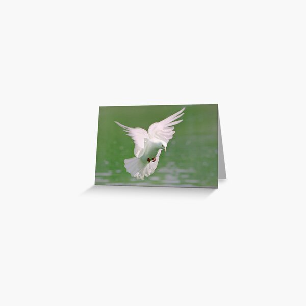 Peace Greeting Card