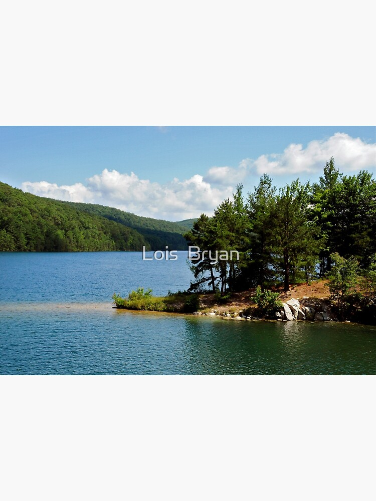 "Caledonia State Park 1" Poster by LoisBryan Redbubble