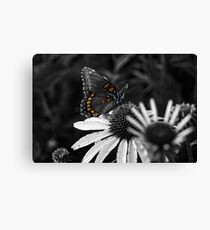 Color Shot Canvas Print
