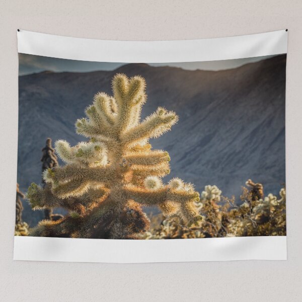 Item preview, Glowing Cholla Cactus designed and sold by Robert Alsop.