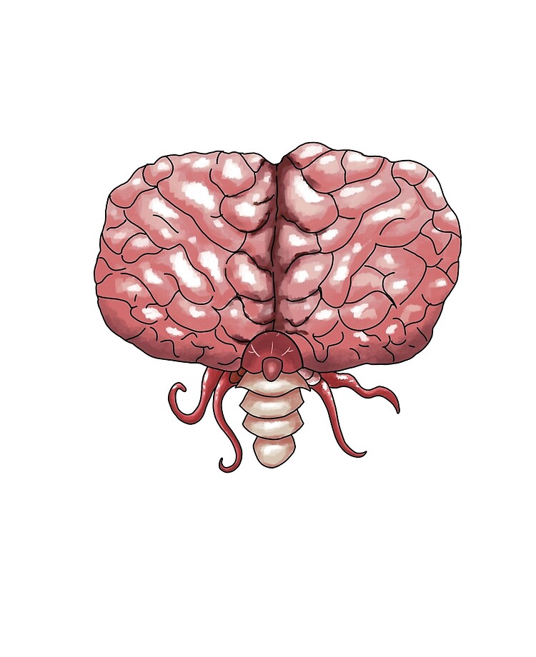 Brain Of Cthulhu