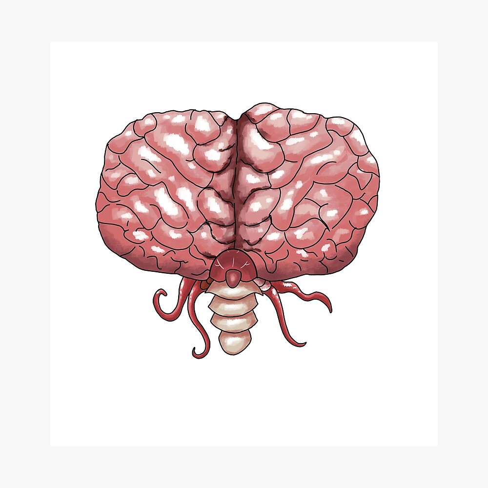 Brain Of Cthulhu Poster By Scooter845 Redbubble