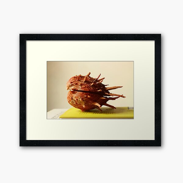 Red oyster seashell, heart shape, yellow book, top, thorny Framed Art Print