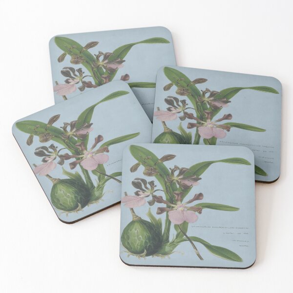 Item preview, Samuel Holden - Epidendrum designed and sold by goldilockszone.