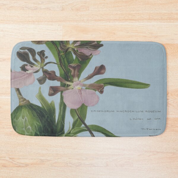 Item preview, Samuel Holden - Epidendrum designed and sold by goldilockszone.