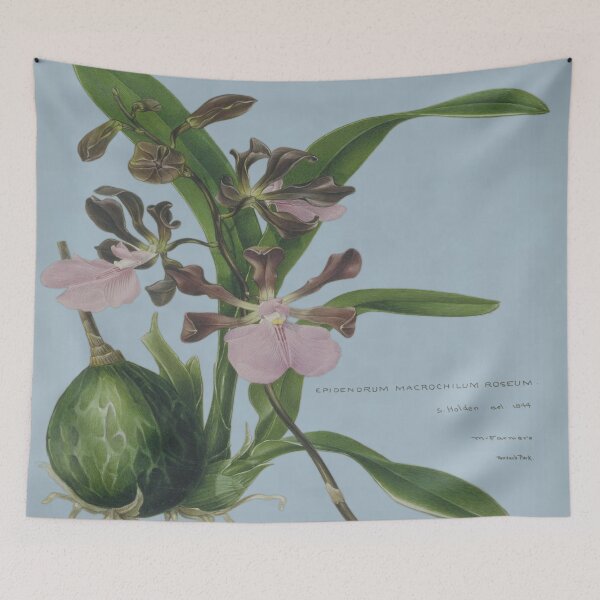 Item preview, Samuel Holden - Epidendrum designed and sold by goldilockszone.