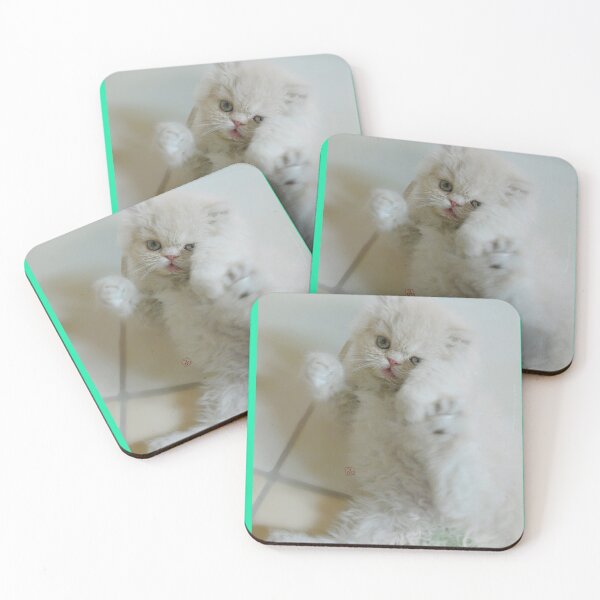 Item preview, My Laryssa Playing - Butter White Persian Fluffy Baby Cat (Photo by Alice CCI) designed and sold by VanyssaGraphics.