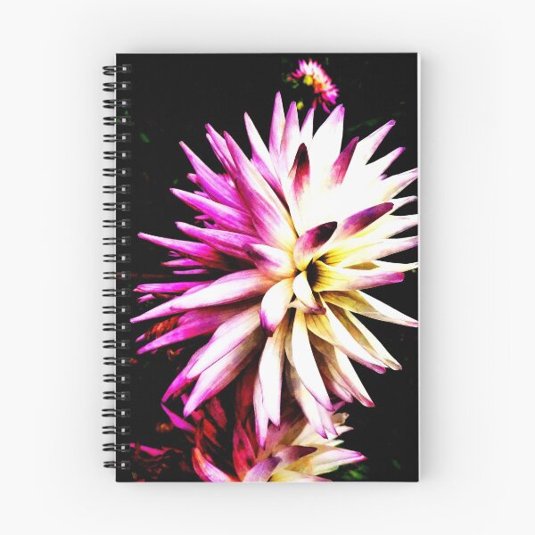 Item preview, The Dahlia Firework Display designed and sold by PictureNZ.