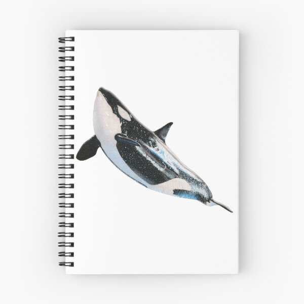 Artikelvorschau, Takara the Killer Whale Farbstiftzeichnung entworfen und verkauft von ArtyOrca.