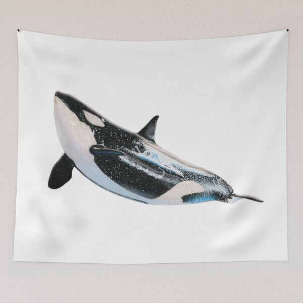 Item preview, Takara the Killer Whale Color Pencil Drawing designed and sold by ArtyOrca.