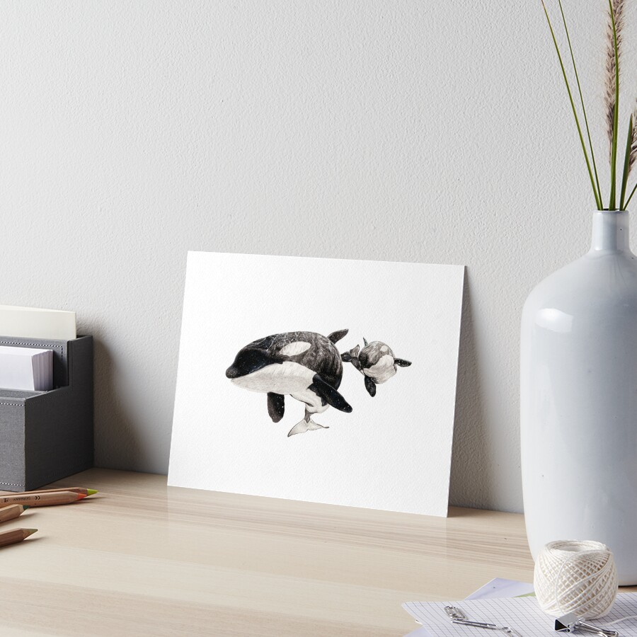 Original Katina and Taku Drawing, Killer Whale Drawing, Orca ...